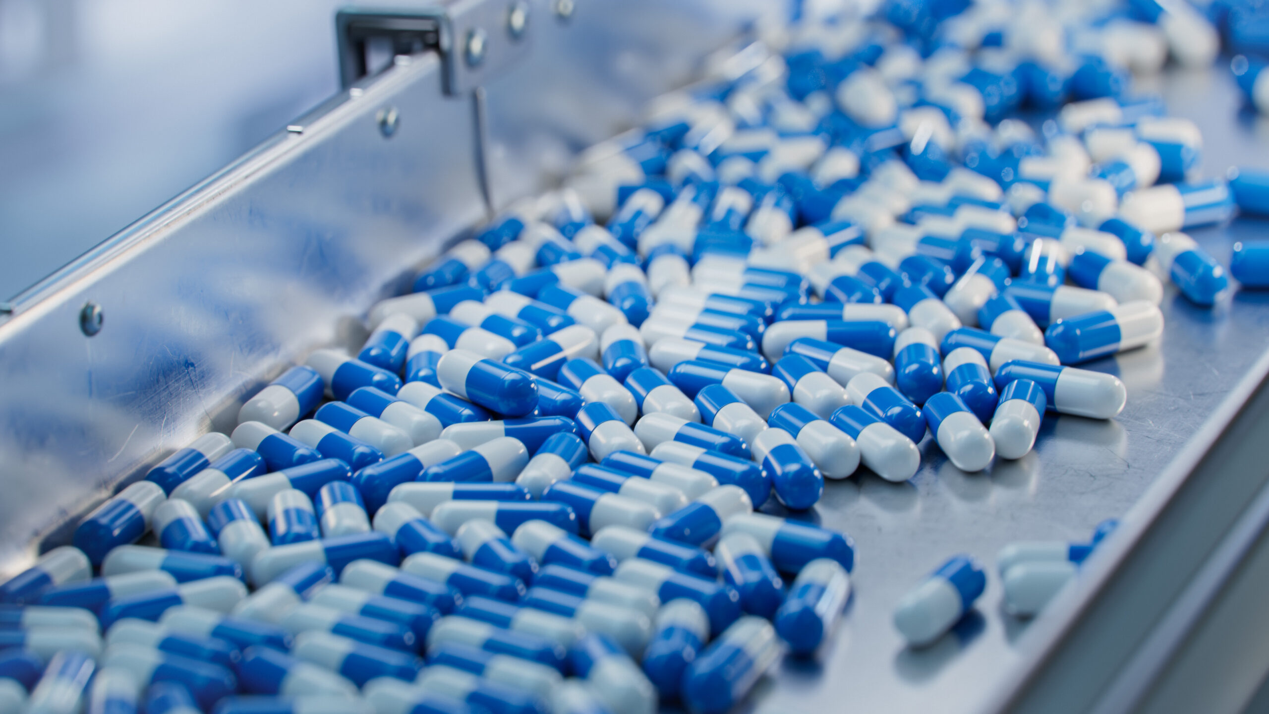 Blue Capsules are Moving on Conveyor at Modern Pharmaceutical Fa